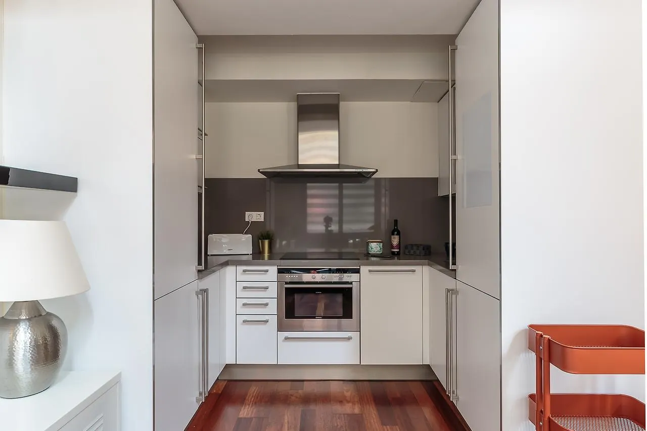 Modern And Trendy Duplex Next To Paseo De Gracia Apartment Barcelona